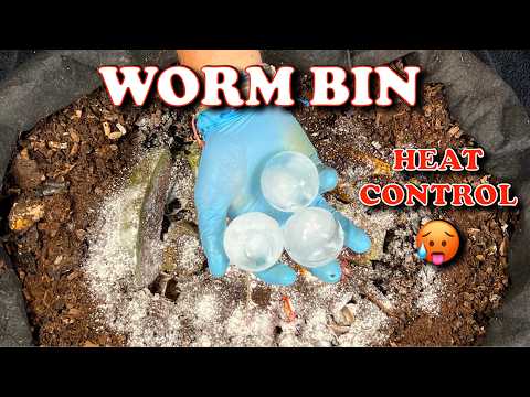 Use This To Replace Worm Bin Moisture & Reduce Heat | Vermicompost Worm Farm