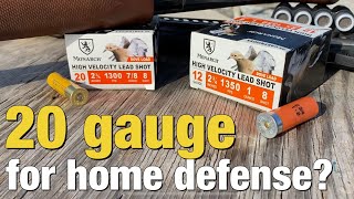 Use a 20 gauge for home defense over a 12 gauge