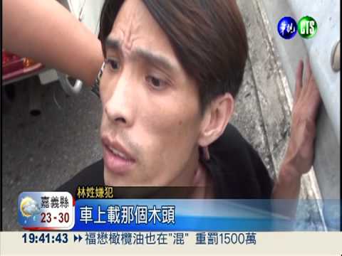 盜採上百萬檜木 警掃蕩山老鼠!