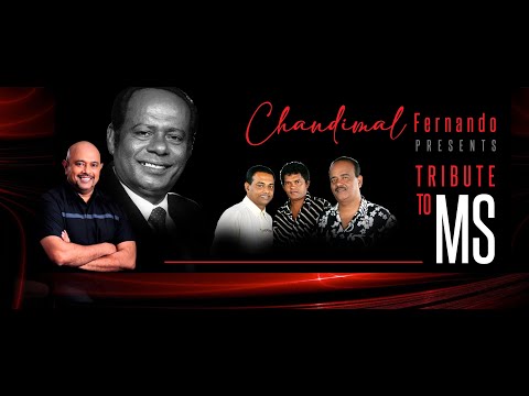 TRIBUTE TO MS - Live Concert by Chandimal Fernando