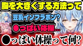 こより直伝の「胸を大きくする方法」が斜め上すぎて困惑するラミィ【ホロライブ切り抜き/雪花ラミィ】