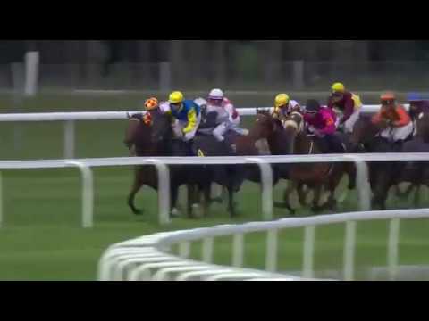 2017.06.19 Stockholms Stora Pris (SWE) - Hurricane Red