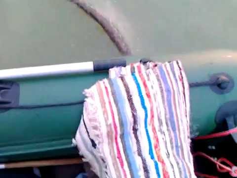 Somn 28.5 kg - Calimanesti - Vrancea