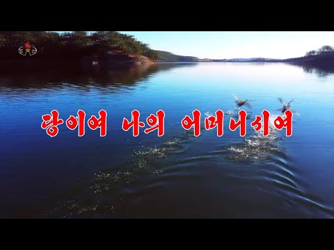 Jong Hong Ran - The Party Is My Mother