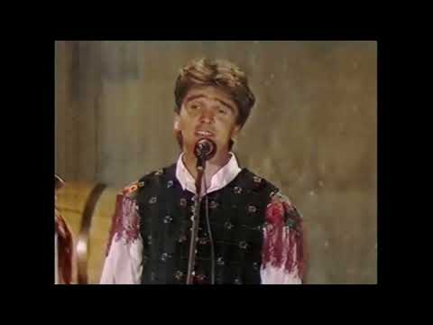 Ansambel Medijski odmev na Ptujskem festivalu 1987