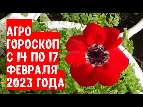 , title : 'Агрогороскоп с 14 по 17 февраля 2023 года'