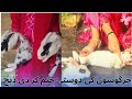 2 Rabbits Slaughter By Lady Butcher Vlog 24 November 2025