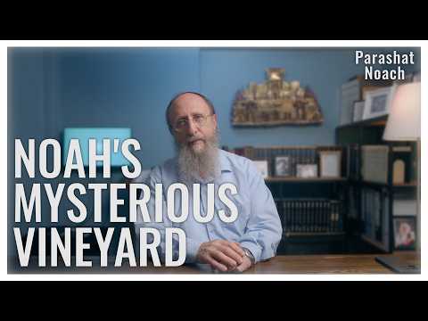 Parashat Noach 5787 | The Unfinished Repair of the World