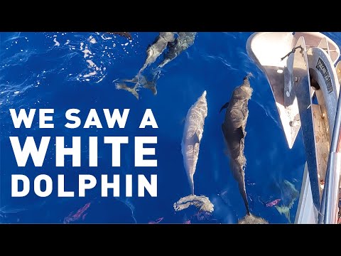 Sailing the Florida Keys to Isla Mujeres Ep 5