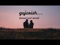 Guzarish Slowed And Reverb
