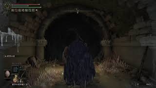 【ELDEN RING】初見エルデン、進めてく！【エルデン リング】#20