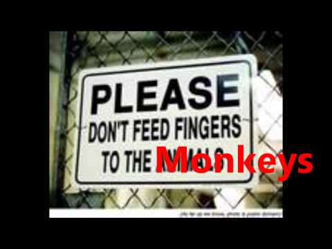 The Five Man Electric Band-Signs