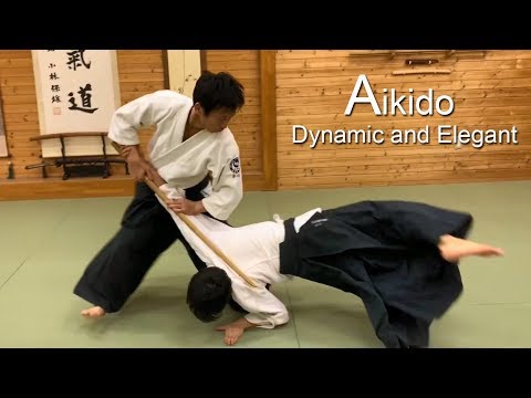 Dynamic and Elegant Aikido - Shirakawa Ryuji shihan