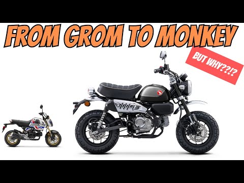 Почему я продал свой Grom и купил Honda Monkey
