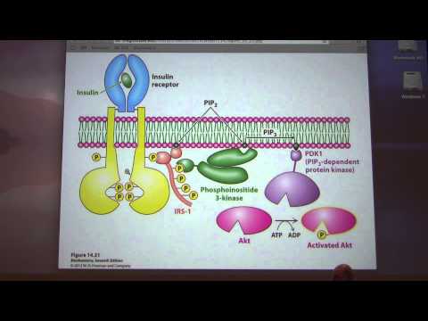 Ahern's Biochemistry #19 Signaling