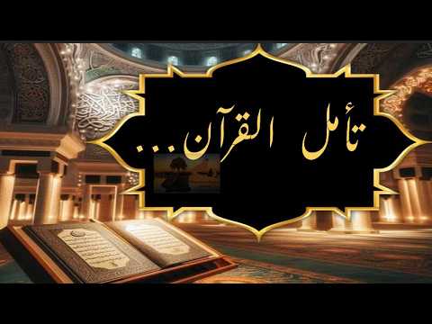 احفظ بسهوله الوجه 13 من سورة البقرة