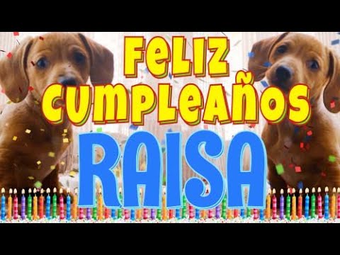 ¡Feliz Cumpleaños Raisa! (Perros hablando gracioso) ¡Muchas Felicidades Raisa!