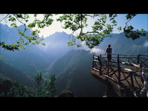 Hartzon - Wherever You Will Go