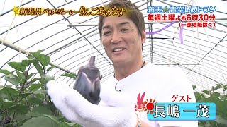 満天☆青空レストラン　8/1放送「新潟県　りんごあめなす」