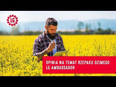 Poznaj opinię na temat rzepaku ozimego LG Ambassador w gospodarstwie RKS Nowy Świat