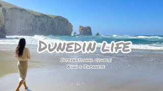 All About Dunedin〜ダニーデンってどんなところ？〜