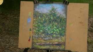preview picture of video 'Pintando un árbol al pastel'