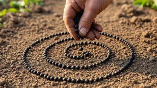 Ancient Gardening Secrets That Still Work Today 🌱  Lost Wisdom of the Earth