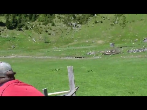 Belleja e Selmit 2015 Bjeshka e Rastavices ( Pjesa 8 )