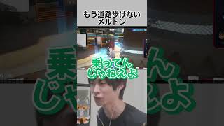 もう怖くて道路歩けないメルトン