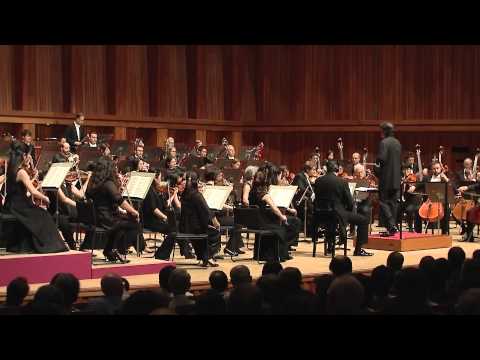 Brahms Symphony No. 4 - 1st Movement