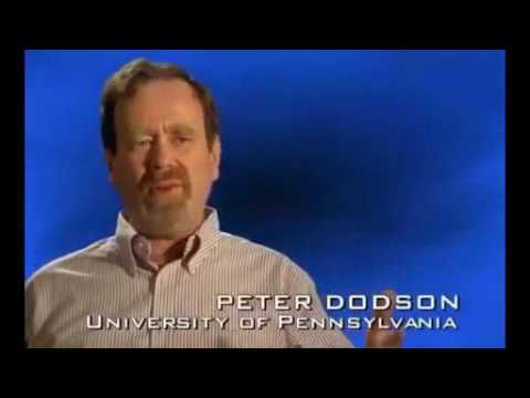 SMS aus der Urzeit E01 Willkommen in der Zeitmaschine