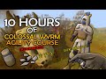 Loot From 10 Hours Of The Colossal Wyrm Agility Course