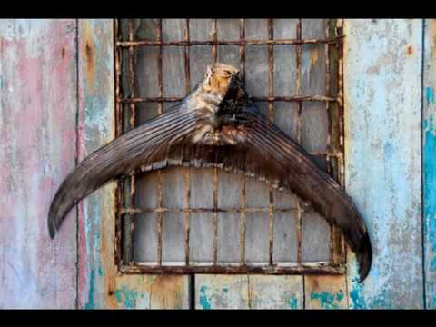 Dimitris Alexakis: The short and wild evian summer