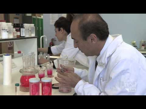 No Longer Sci-Fi: Building Human Organs in the Lab