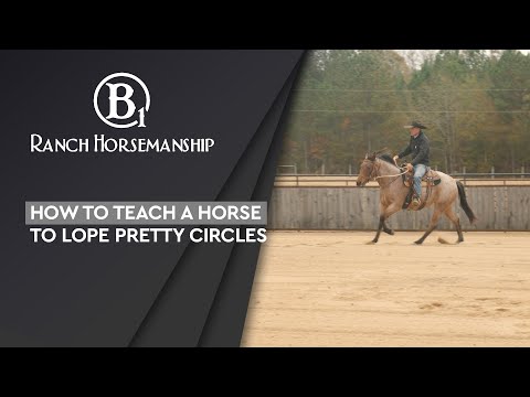 How to Teach a Horse to Lope Pretty Circles Preview