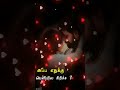 Sami Kitta Solli Putten Song Love Status