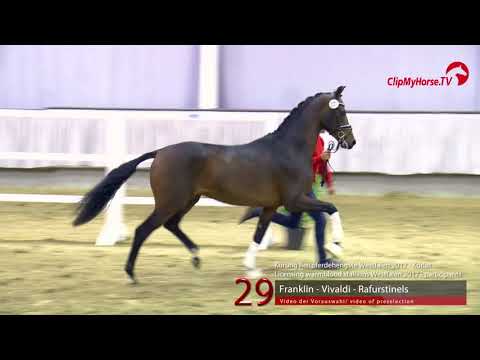29 Junghengst v. Franklin - Vivaldi