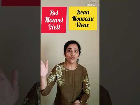 How to use Adjectives like Beau, Nouveau, Vieux properly. With Examples. Shorts#