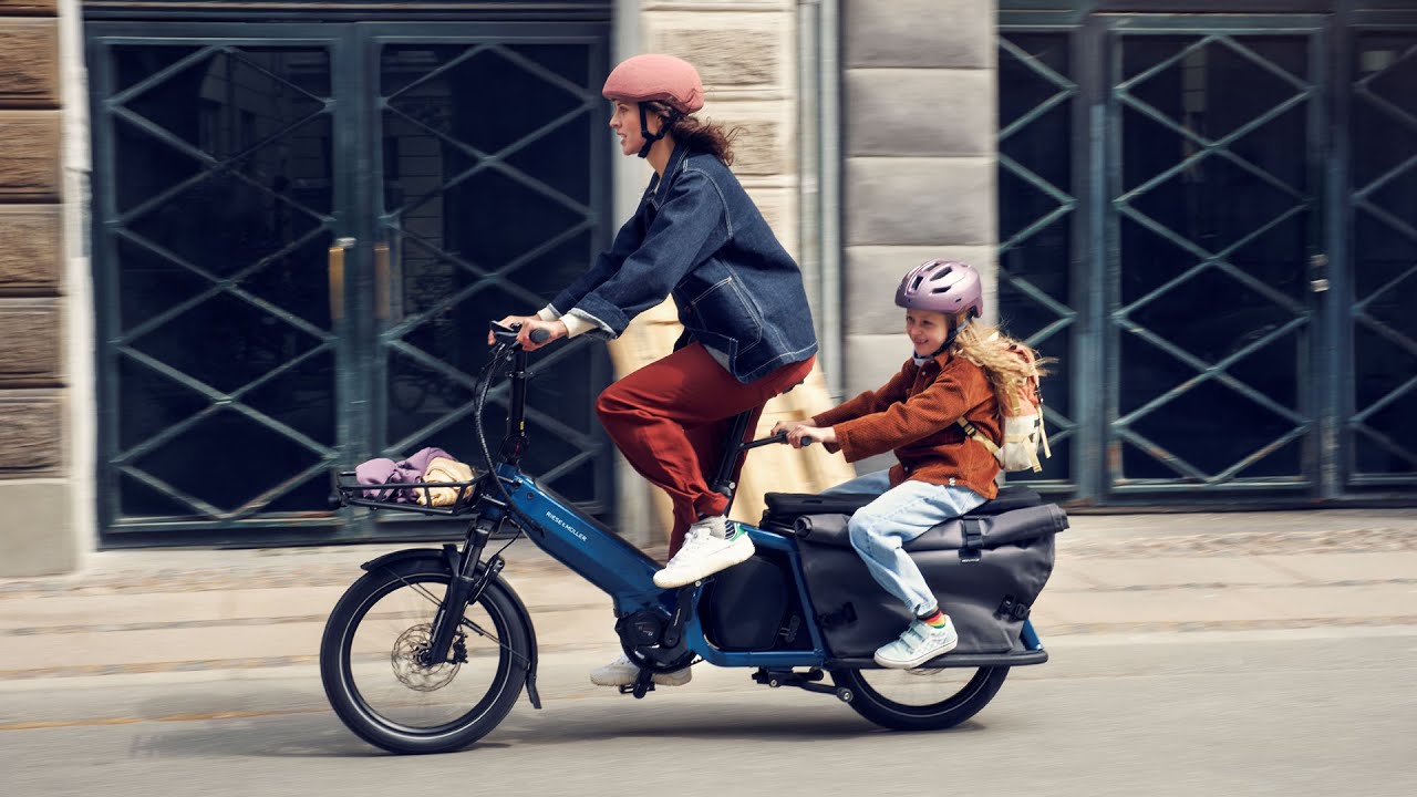 VTCAE MULTITINKER easy transporteur (riese&muller)