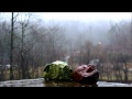 Hammock - Before The Celebration