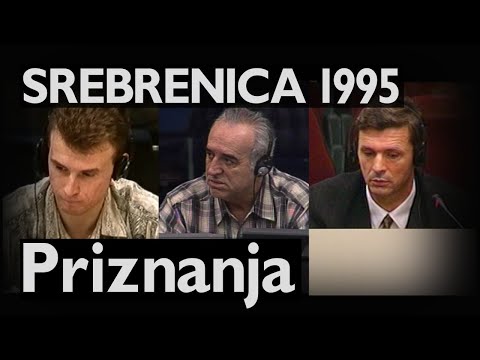 Srebrenica 1995: Priznanja krivice