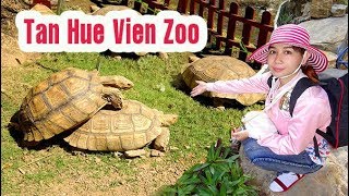 CHOÁNG VỚI ĐÀN CÁ CẢNH, BÒ SÁT KHỔNG LỒ Ở TÂN HUÊ VIÊN | PHƯỢT SÓC TRĂNG | Vietnam Travel