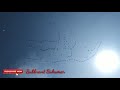 Birds Flying In Group