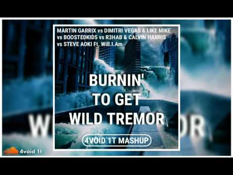 DV&LM vs Steve Aoki vs R3HAB & Calvin Harris ft. Will.i.am - Burnin' To Get Tremor (4void 1t Mashup)
