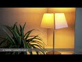 Prise RF sans fil dimmable 100W | video 1