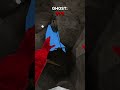 Like Change Ghost Gorillatag Vr