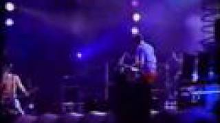 Nirvana - Seasons in the Sun - Sao Paulo Brazil LIVE!  (VIDEO)