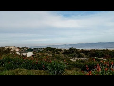 # tour 🚗 Naturaleza 💚 Uruguay 🇺🇾 desde Guazuvira  hasta Costa Azul 💙💚