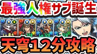 【評価急上昇】日番谷×水イズナで最強テンプレPT誕生！ガチで欲しい人権サブがキタ！天穹12分攻略！【パズドラ】