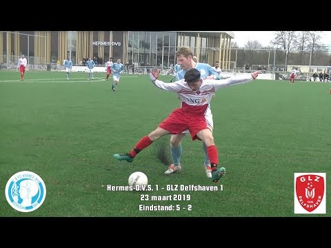 Samenvatting Hermes-D.V.S. 1 - GLZ Delfshaven 1